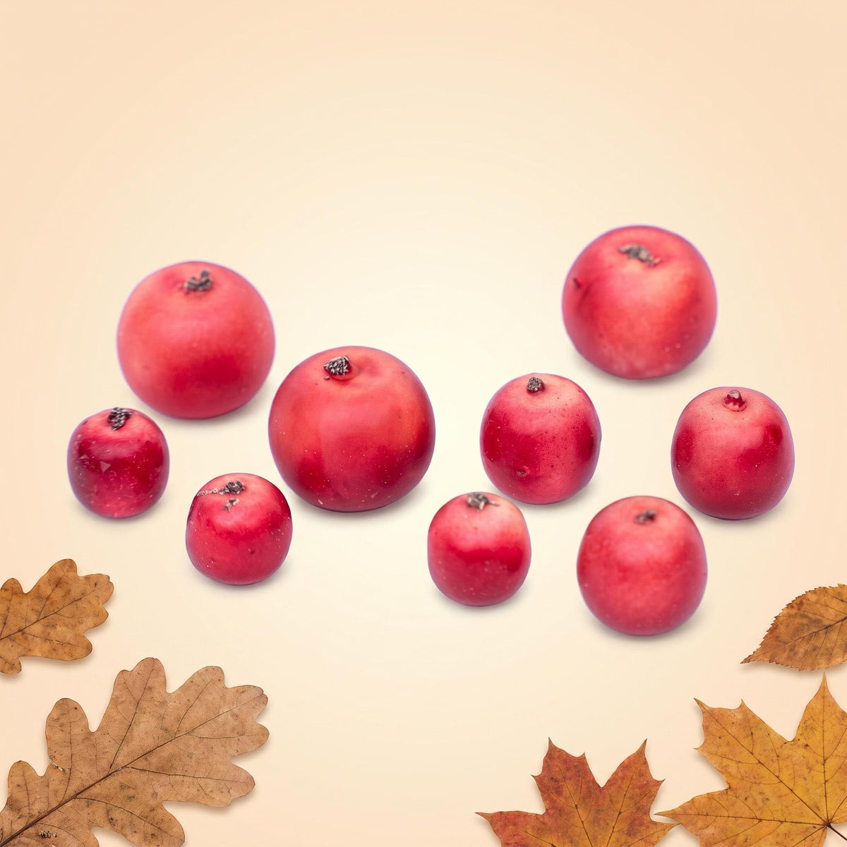 Apple Malus - 9Pcs - 3-Sizes - Foam - Red