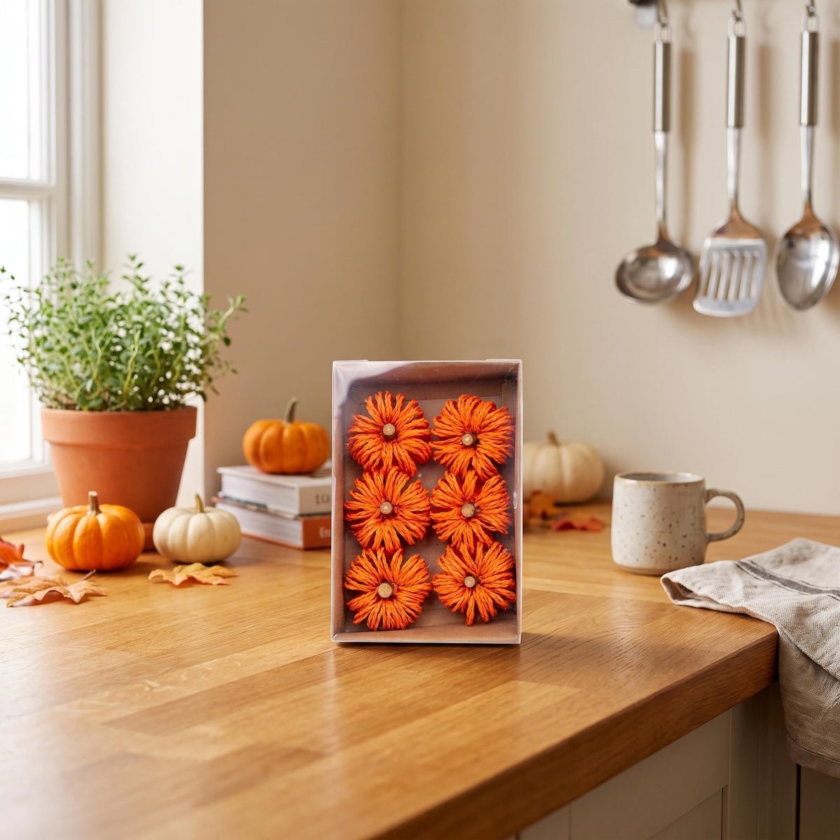 Pumpkin Orange - Ø 4 Cm - 6 Pcs - Natuteral Material