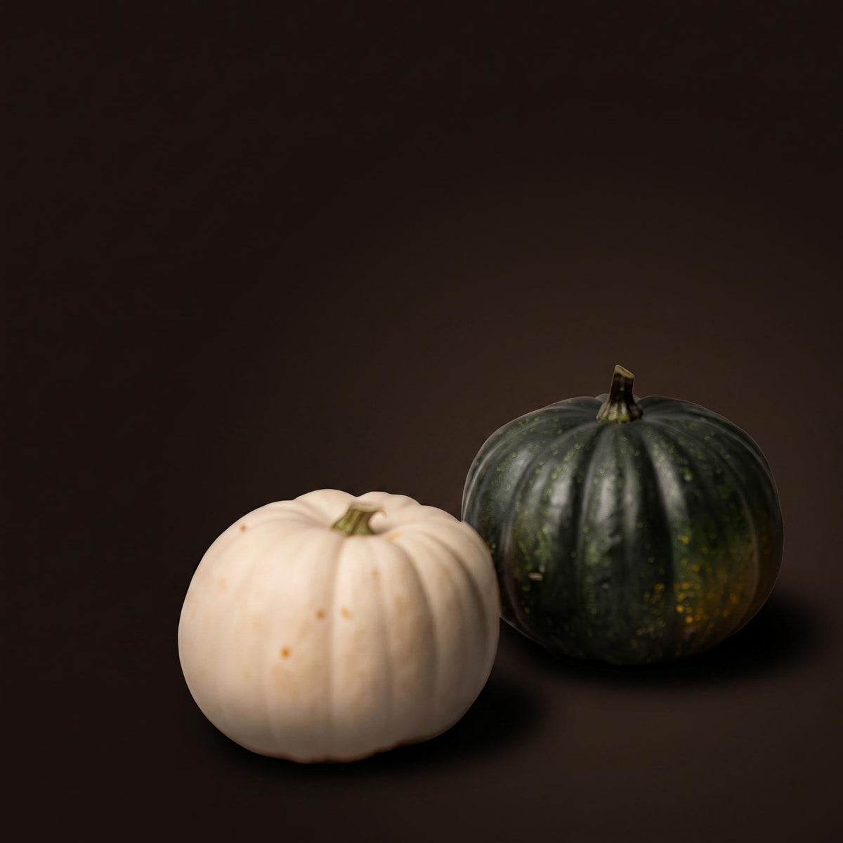 Pumpkin Set - Real - Black Cat And White Halloween - 2 Pcs - Ø 12 Cm
