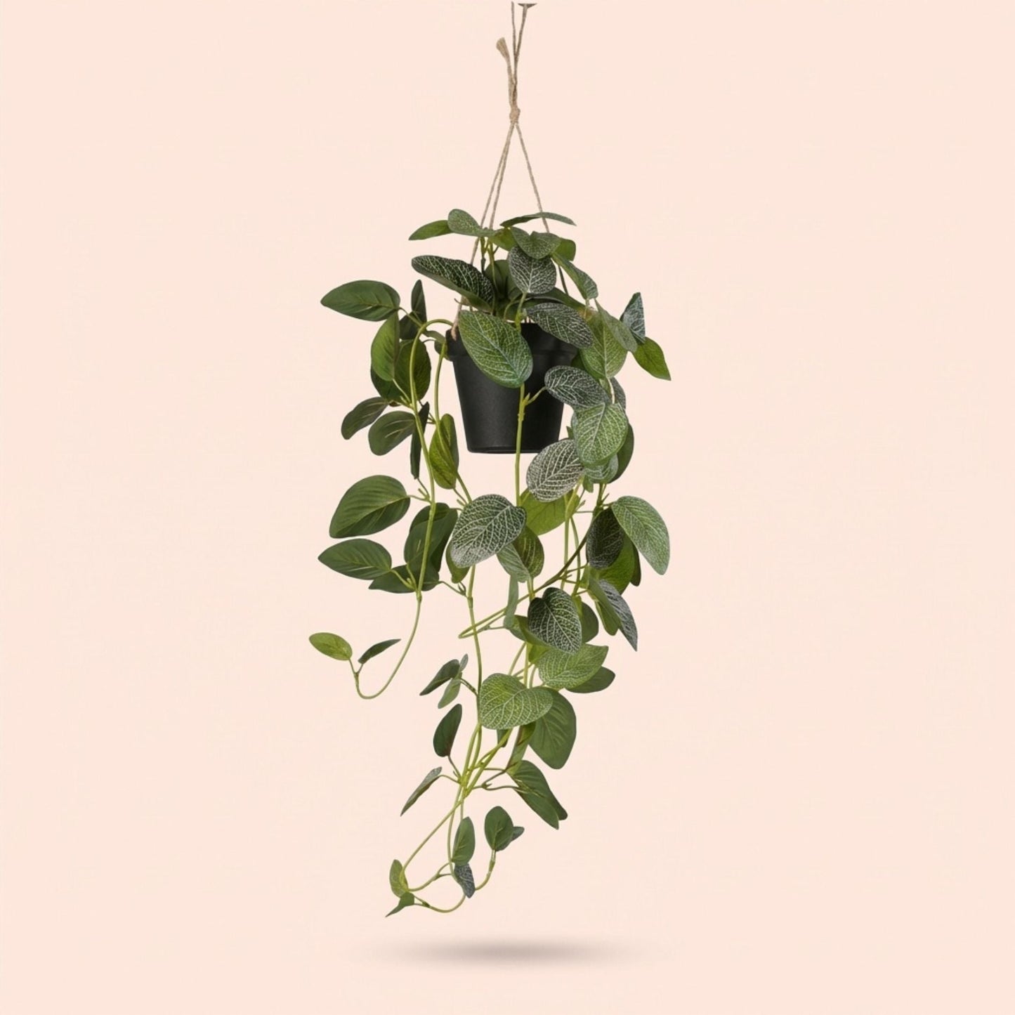 Artificial Fittonia - Hanging Plant In Pot - Green & White - 70 Cm