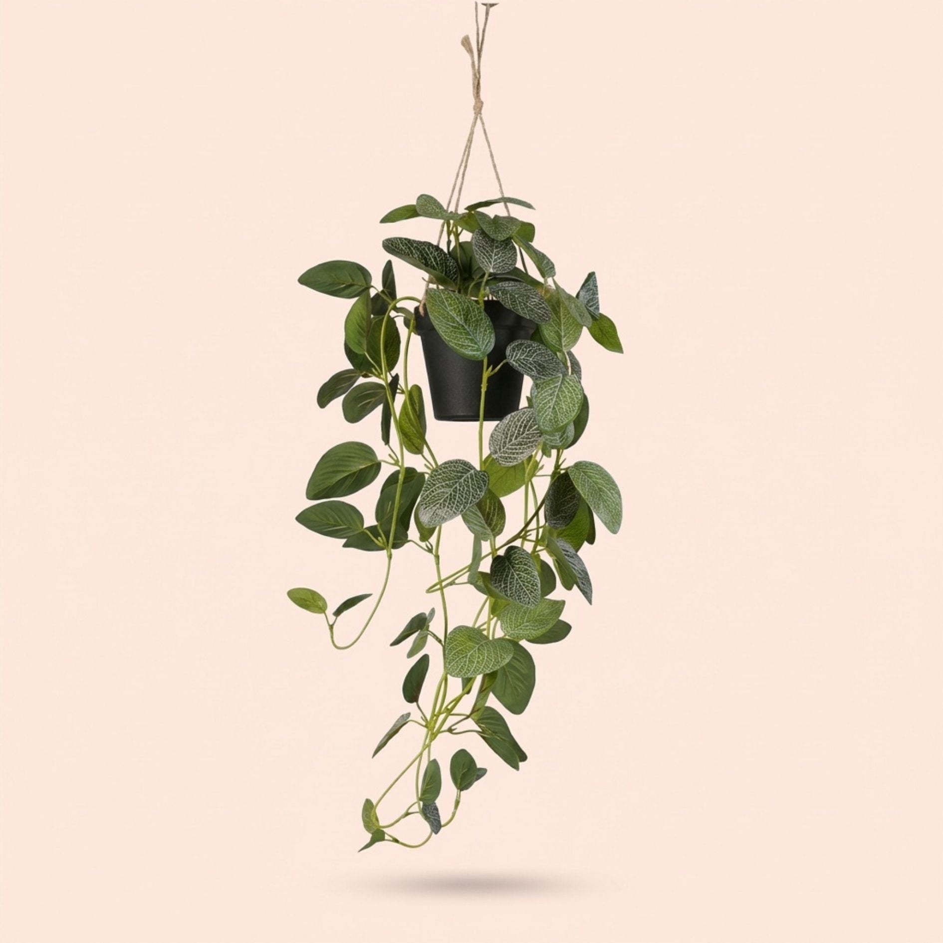 Artificial Fittonia - Hanging Plant In Pot - Green & White - 70 Cm