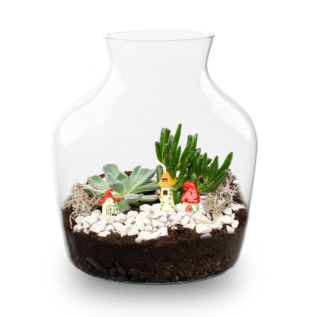 Little Joe Succulent - Open Terrarium - Bottle Garden Diy Kit - Ø 20 Cm ↑ 22 Cm