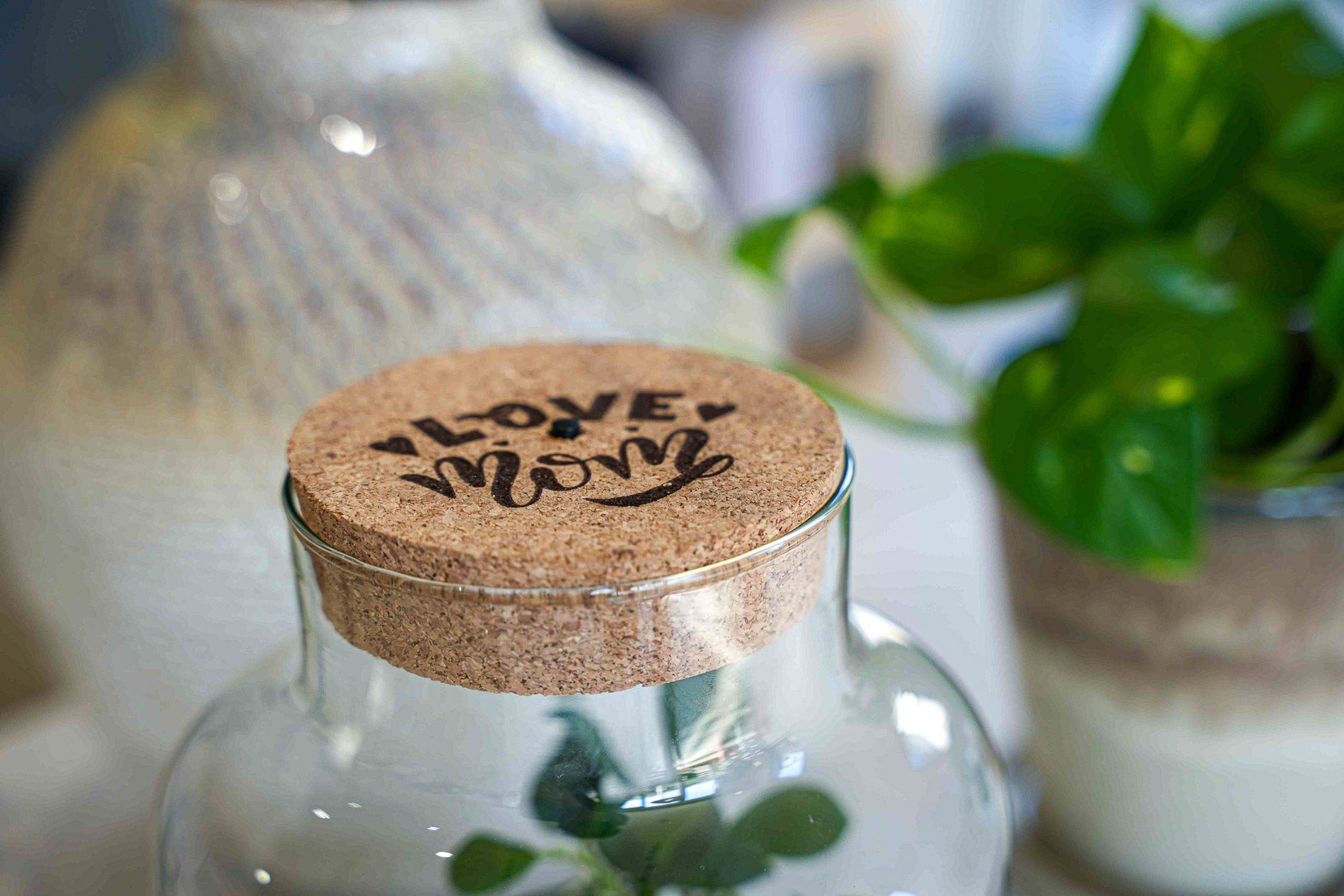 'Love Mom' Terrarium Little Milky + Engraved Cork With Light - Bottle Garden Diy Kit - Ø 17 Cm ↑ 25 Cm - Mother’s Day