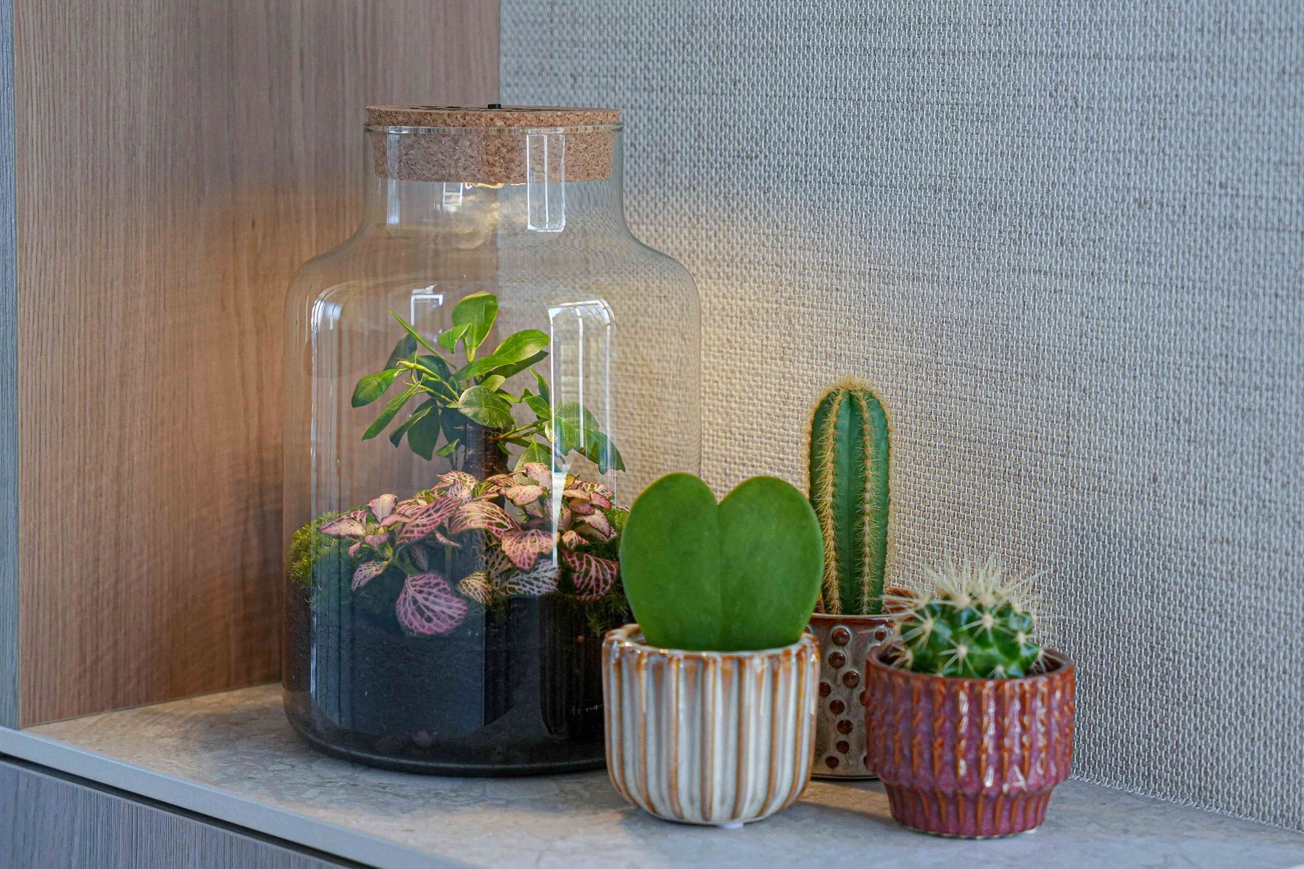 'Love Mom' Terrarium Little Milky + Engraved Cork With Light - Bottle Garden Diy Kit - Ø 17 Cm ↑ 25 Cm - Mother’s Day