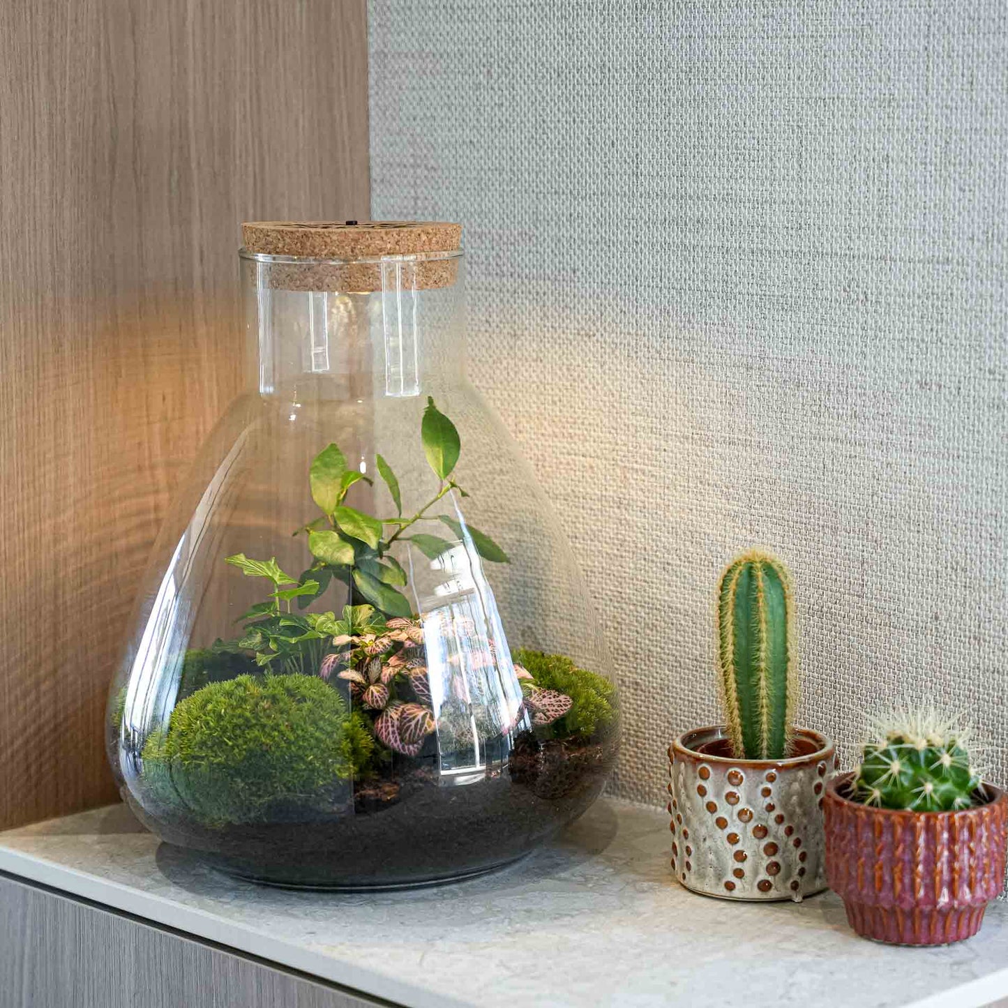 'Love Mom' Terrarium Sam + Engraved Cork With Light - Bottle Garden Diy Kit - Ø 24.5 Cm ↑ 30 Cm - Mother’s Day