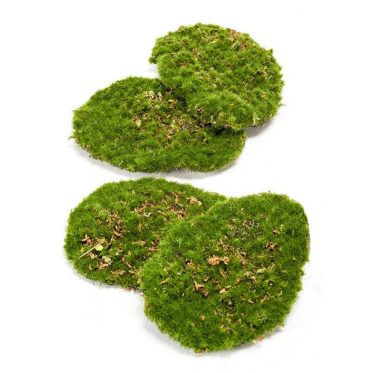 Moss Plate - Green Moss  – Set Of 4 - Artificial Moss