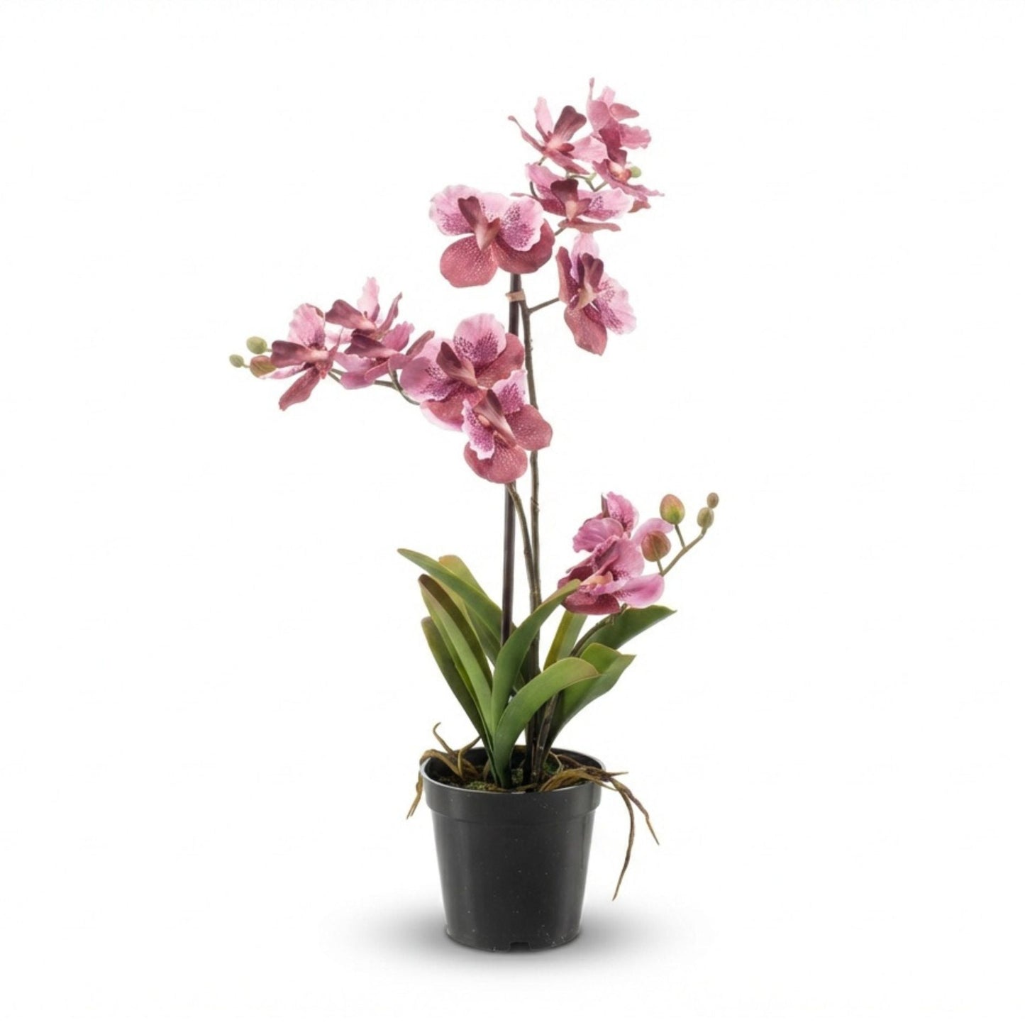 Artificial Orchid Vanda 60 Cm - Old Pink In Pot - Artificial Plant