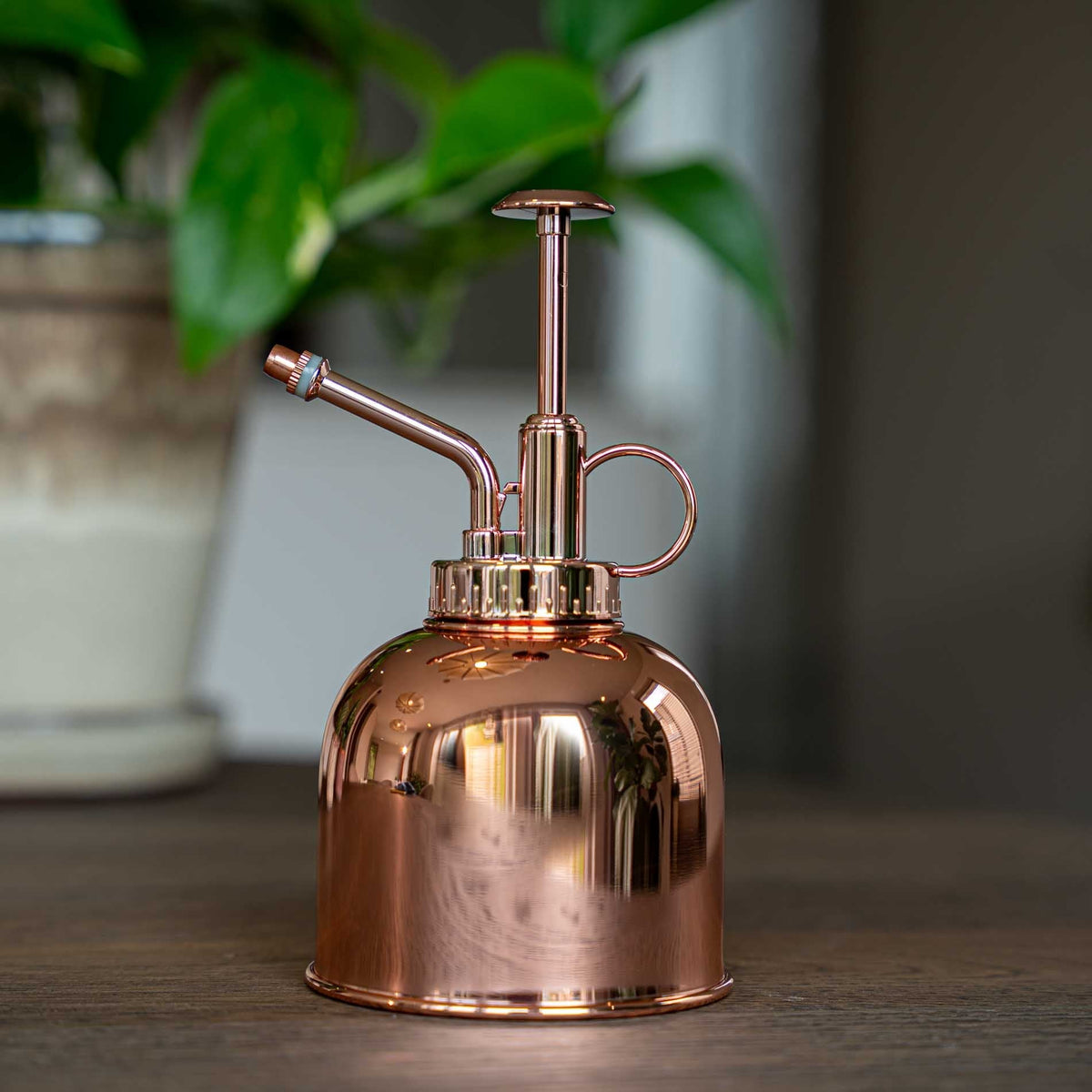 Plant Mister - Waterer - Stainless Steel Gardening Sprinkler - Rose Gold - ↑ 15.5 Cm