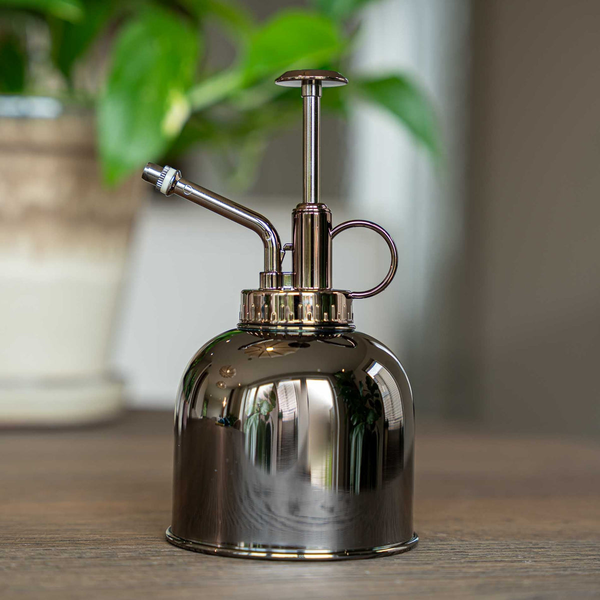 Plant Mister - Waterer - Stainless Steel Gardening Sprinkler - Dark Silver - ↑ 15.5 Cm