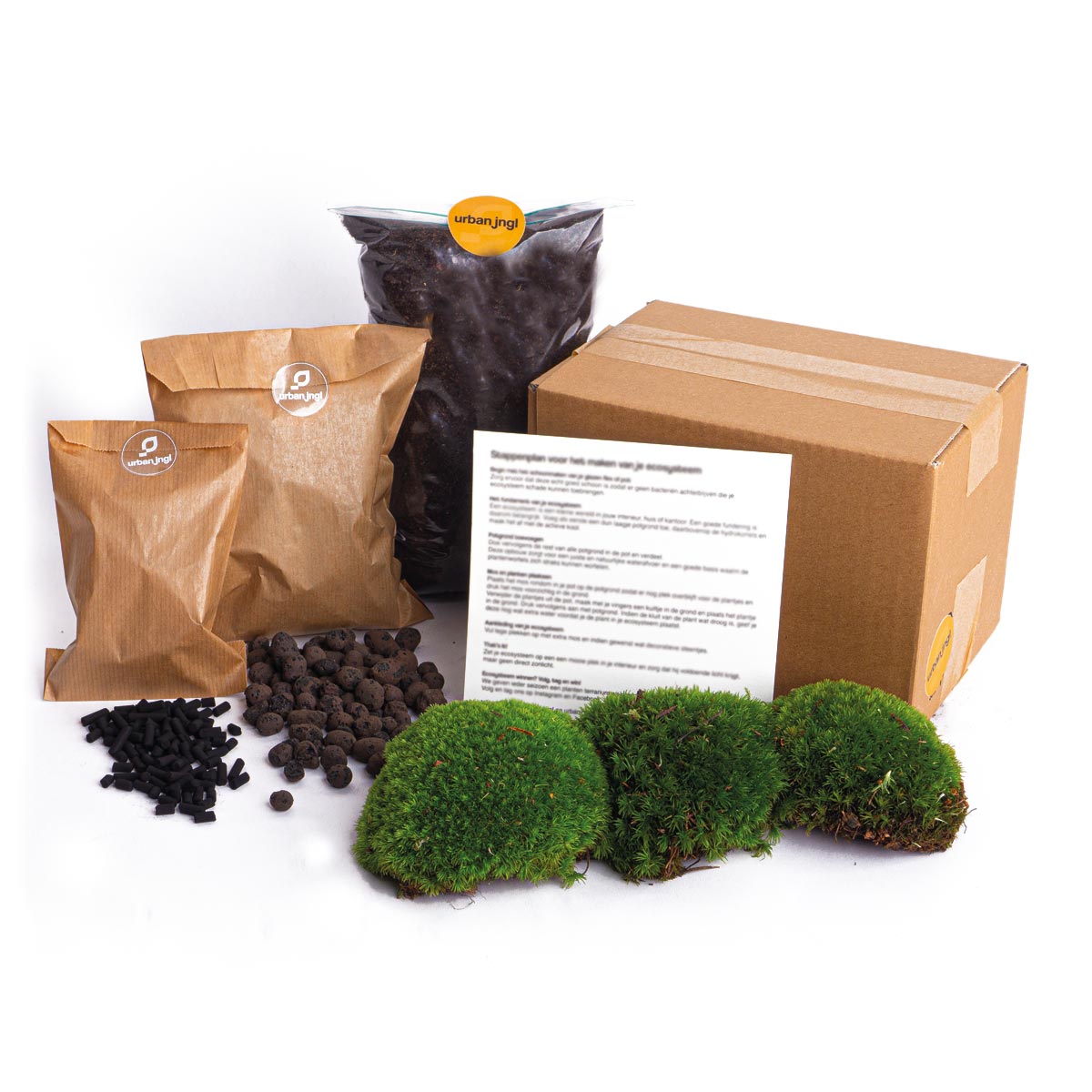 Terrarium Package  – Refill & Starter Package  – Diy Terrarium Kit – Size L/Xl