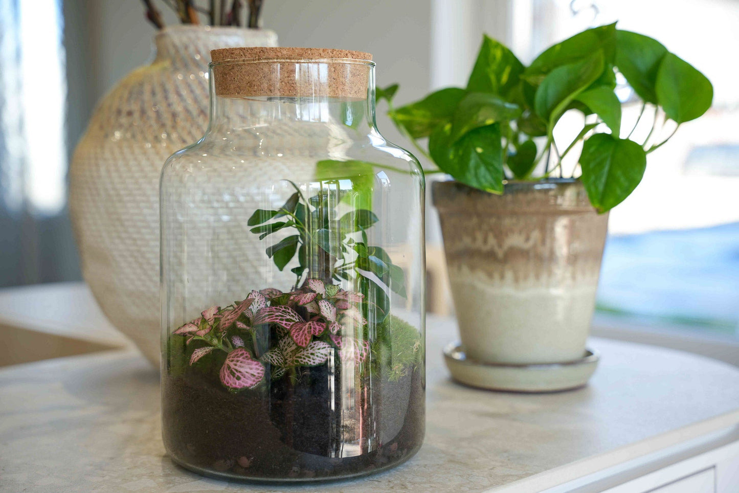 'Love Mom' Terrarium Little Milky + Engraved Cork With Light - Bottle Garden Diy Kit - Ø 17 Cm ↑ 25 Cm - Mother’s Day