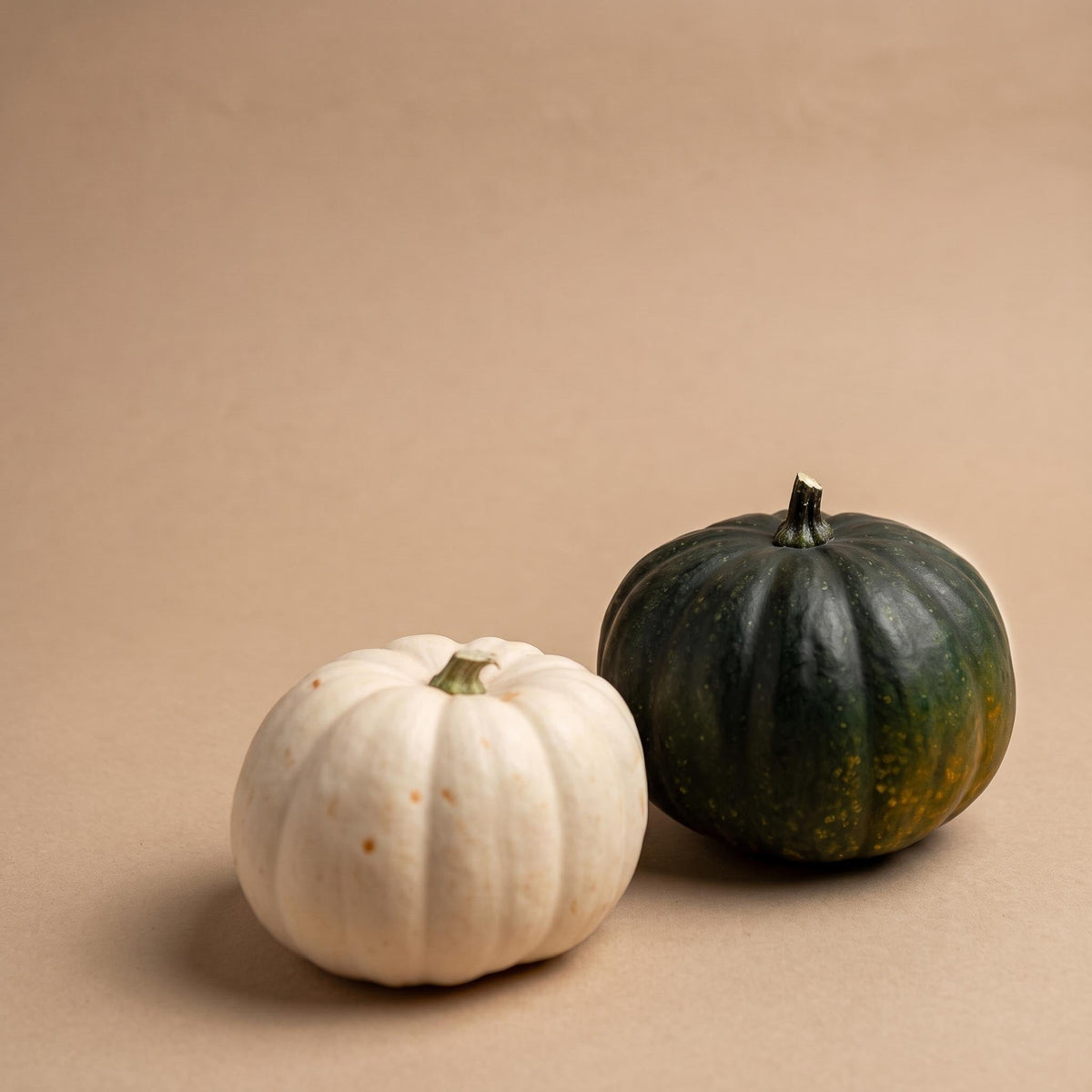 Pumpkin Set - Real - Black Cat And White Halloween - 2 Pcs - Ø 12 Cm