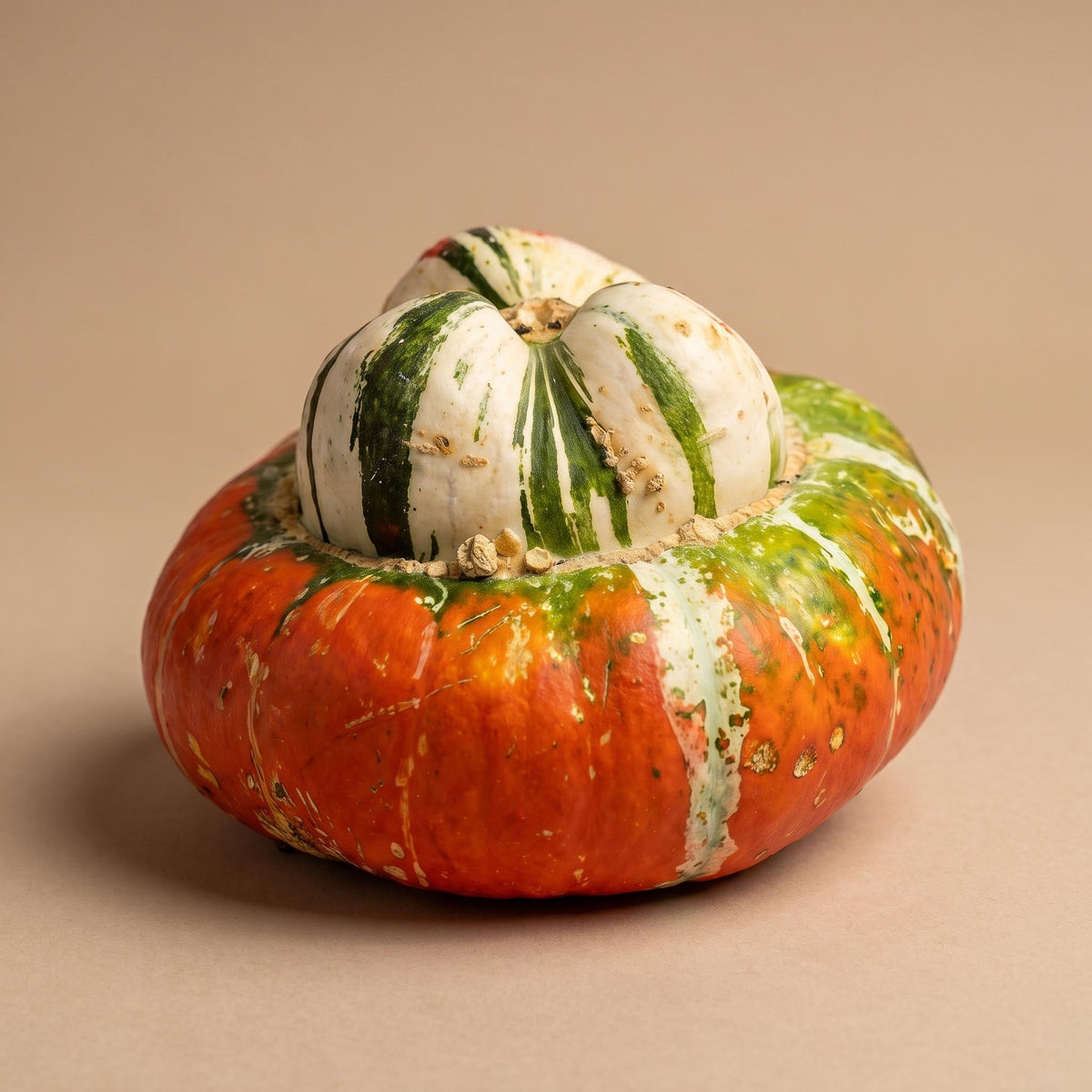 Turk's Turban Pumpkin - Real - Ø Approx. 18 Cm - Approx. 1,6 Kg