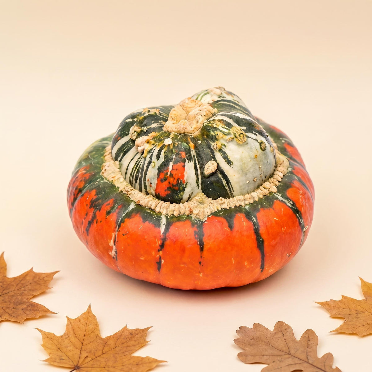 Turk's Turban Pumpkin - Real - Ø Approx. 18 Cm - Approx. 1,6 Kg
