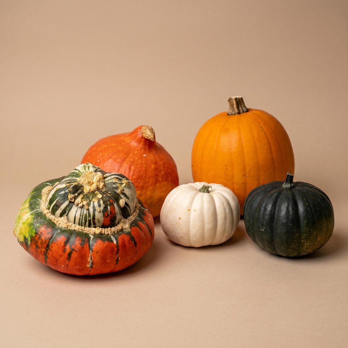 Pumpkin Set Xl - Real - 5 Pcs - Turk's Turban, Hokkaido & More