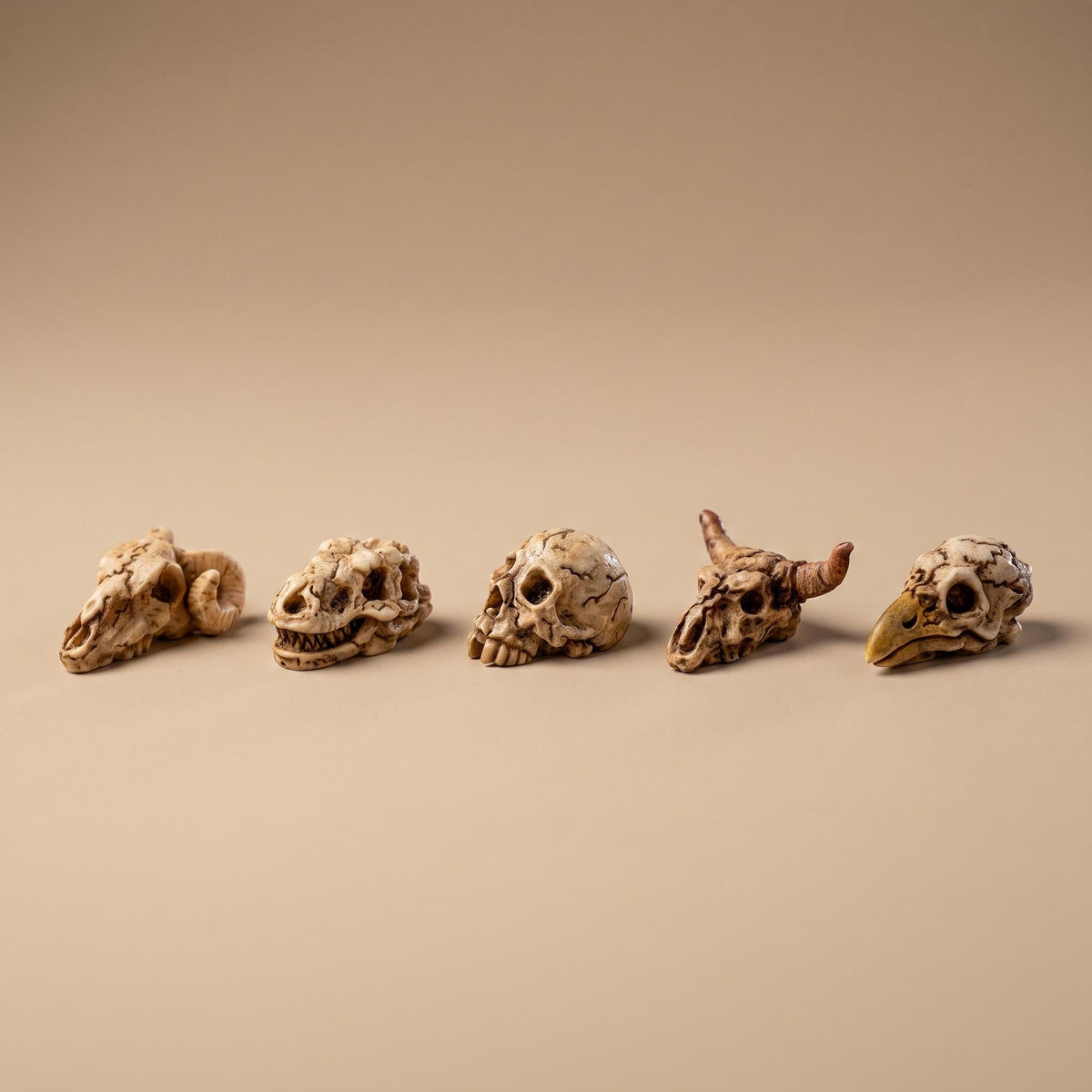 Mini Skull Set - 5 Pcs - Miniature Figurines ↔ 2 Cm ↑ 1 Cm