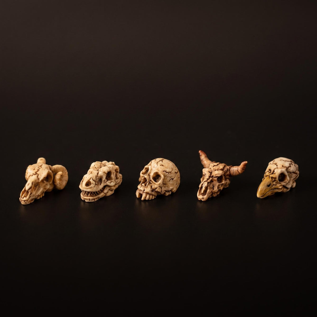 Mini Skull Set - 5 Pcs - Miniature Figurines ↔ 2 Cm ↑ 1 Cm