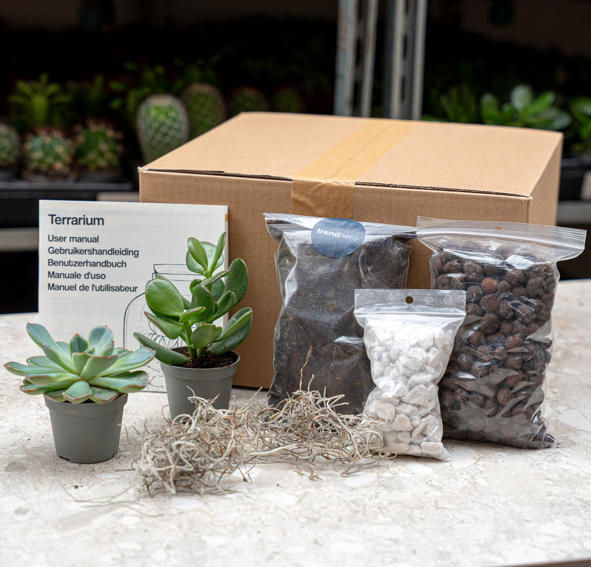 Succulents S/M - Plant Terrarium Refill & Starter Kit - 2 Succulents - Diy