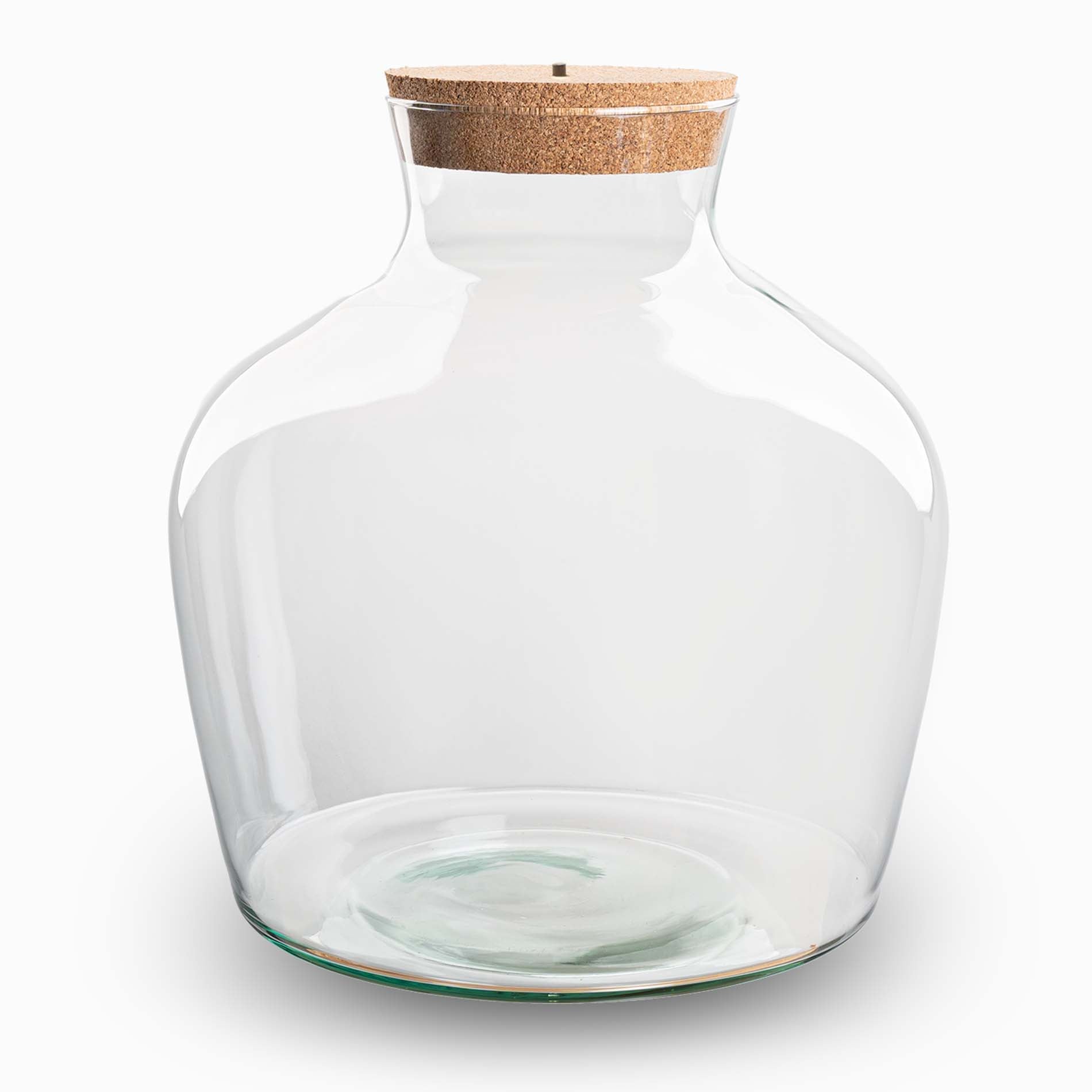 Terrarium Bottle 'Fat Joe' - Incl. Led Cork - Closed Terrarium  Ø 29 Cm ↑ 30 Cm