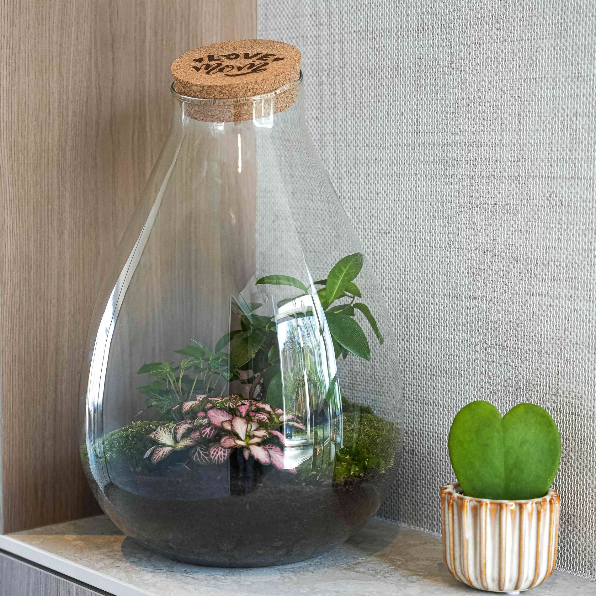 'Love Mom' Terrarium Drop Xl + Engraved Cork - Bottle Garden Diy Kit – Ø 24 Cm ↑ 37 Cm - Mother’s Day