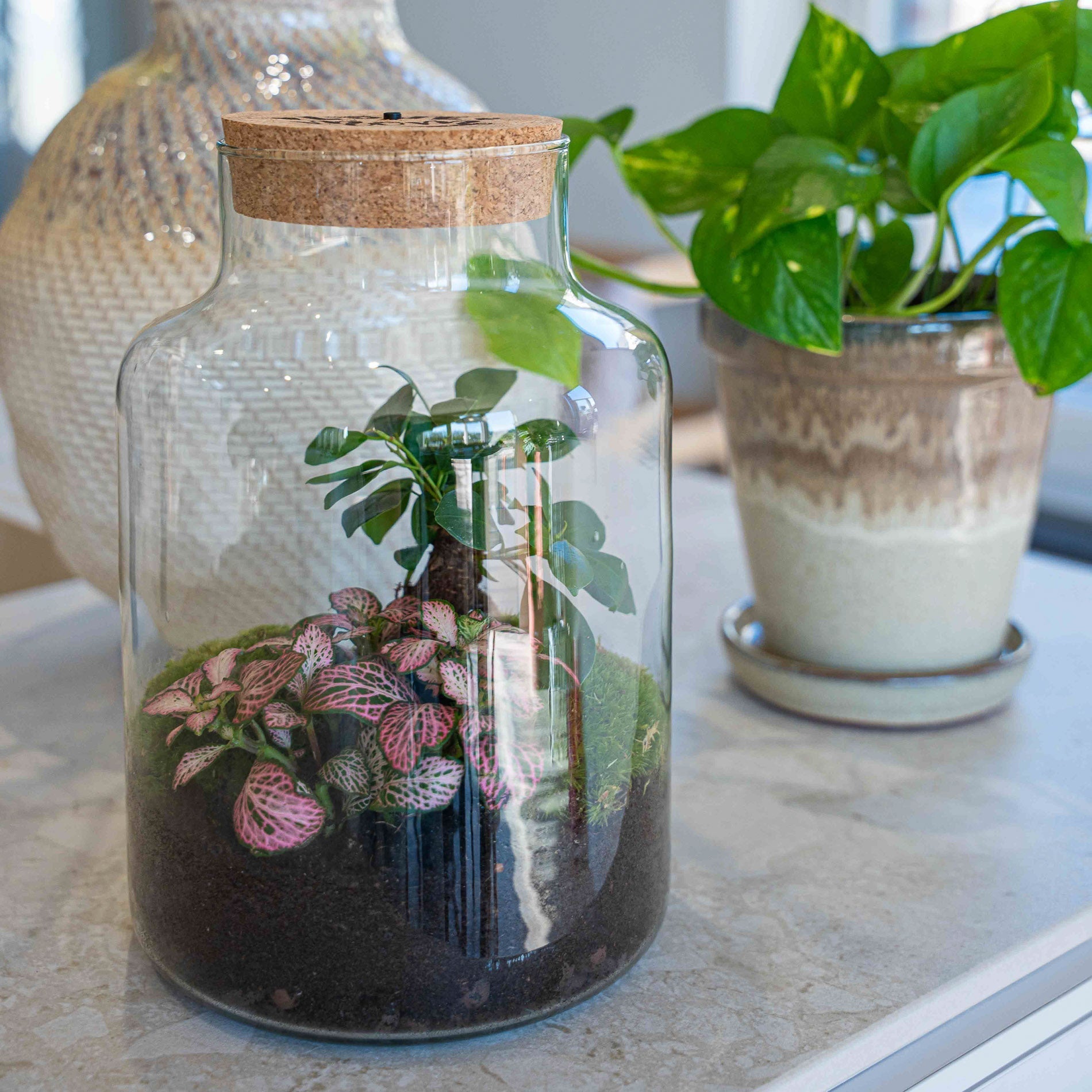 'Love Mom' Terrarium Little Milky + Engraved Cork With Light - Bottle Garden Diy Kit - Ø 17 Cm ↑ 25 Cm - Mother’s Day
