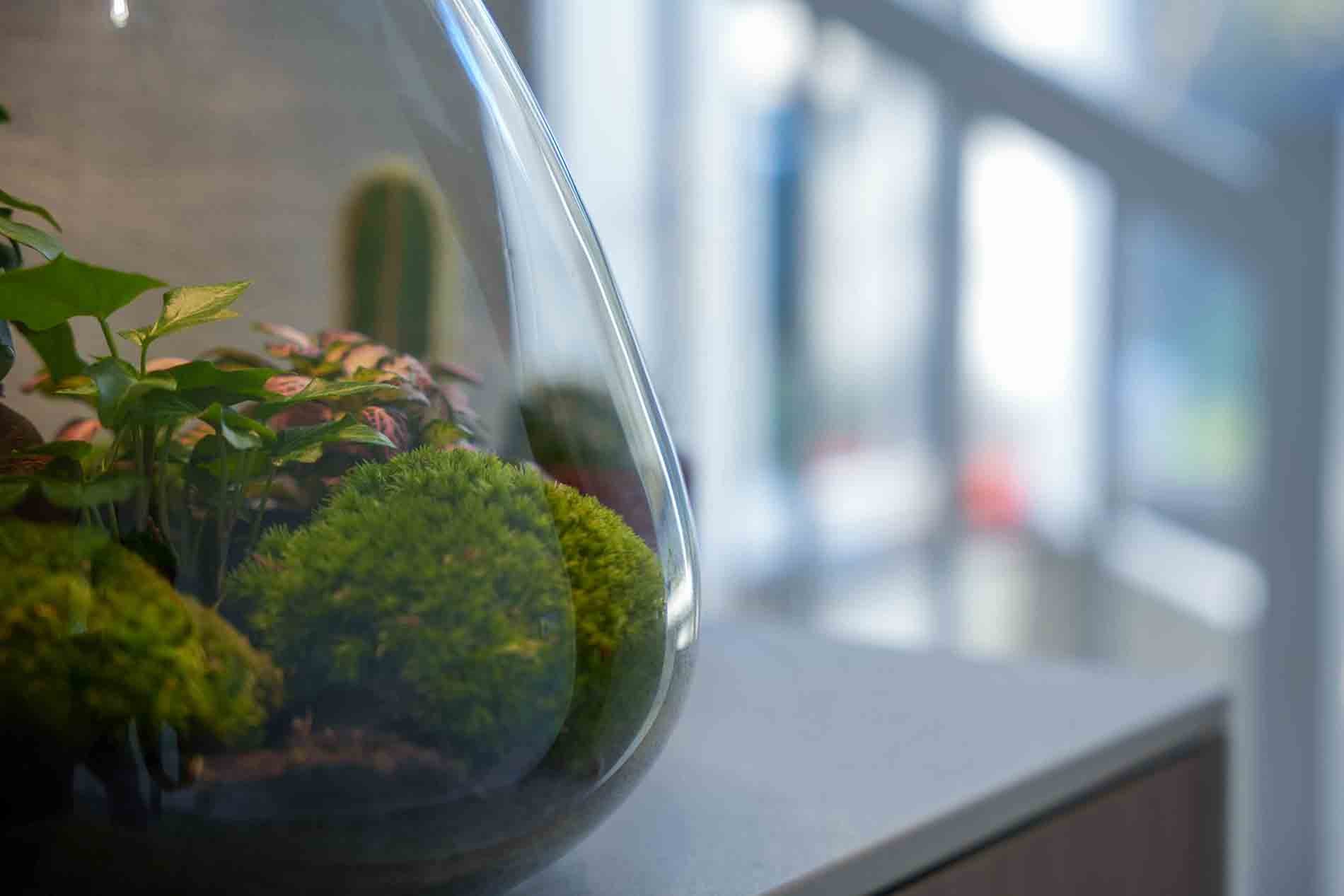'Love Mom' Terrarium Sam + Engraved Cork With Light - Bottle Garden Diy Kit - Ø 24.5 Cm ↑ 30 Cm - Mother’s Day