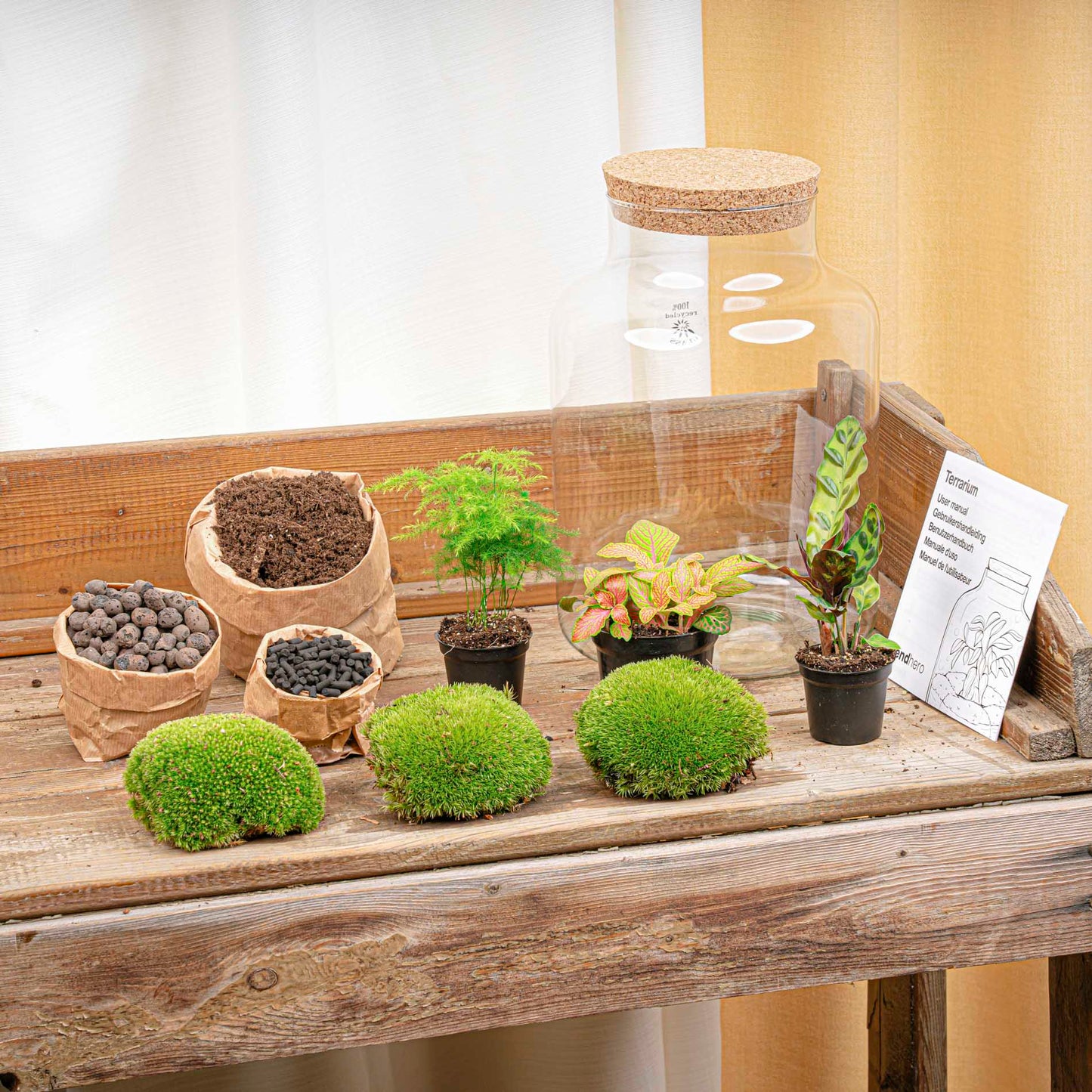Milky - Terrarium - Bottle Garden Diy Kit - Ø 21 Cm ↑ 30 Cm