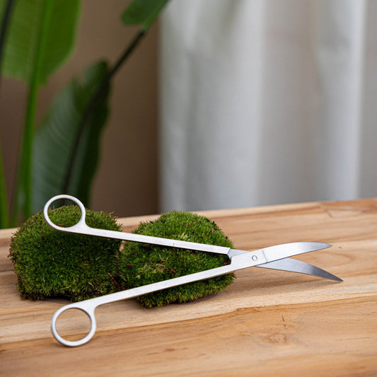 Terrarium Scissors - Metal - 25 Cm - Extra Long - Curved Blades - Stainless Steel