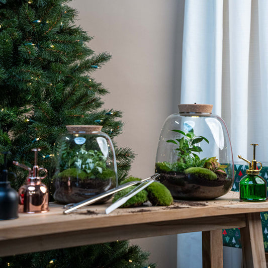 Terrarium Emma - Ø 23 Cm ↑ 25 Cm - Relatiegeschenk