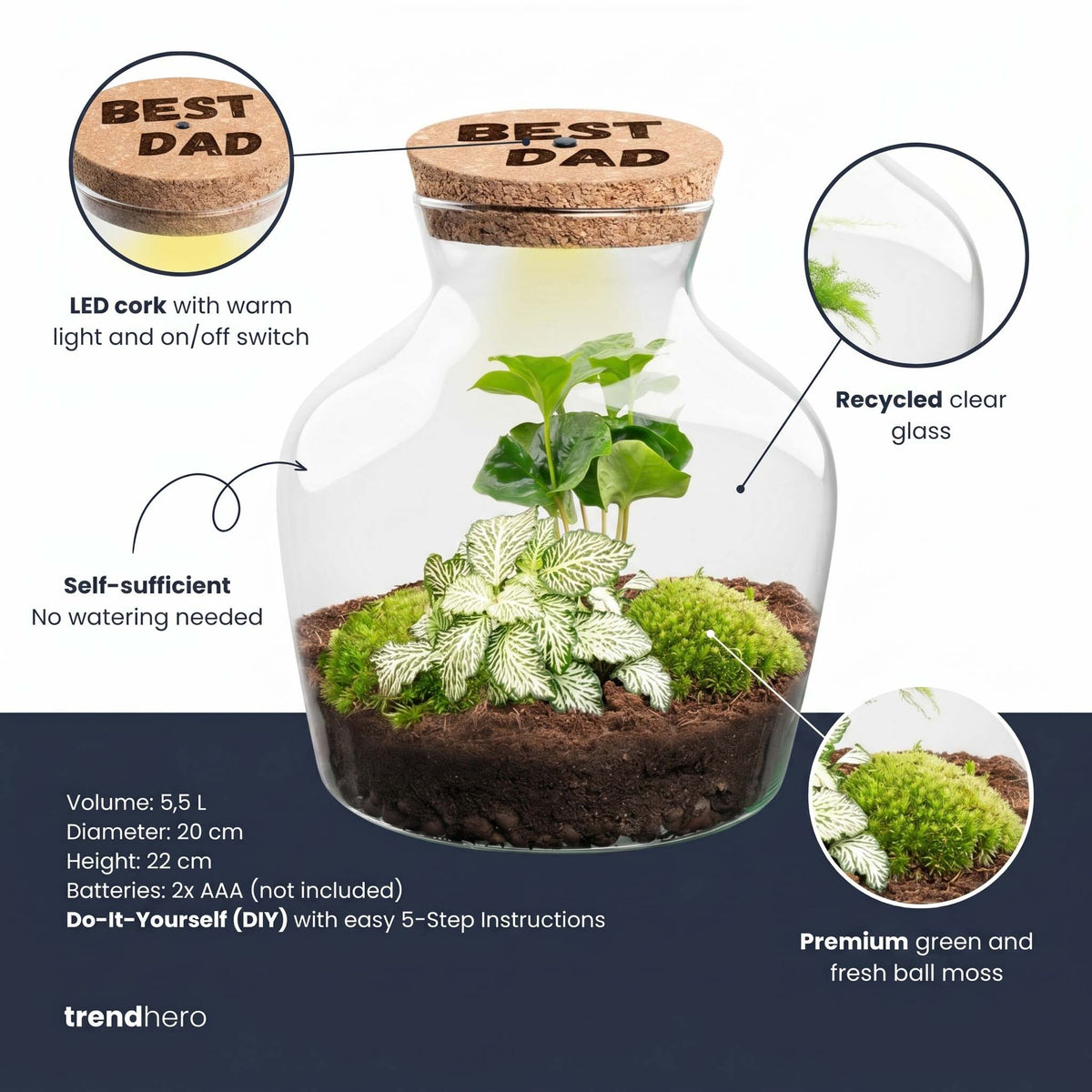 Father's Day Terrarium Little Joe + Custom Engraved Cork With Light - Bottle Garden Diy Kit - Ø 20 Cm ↑ 22 Cm